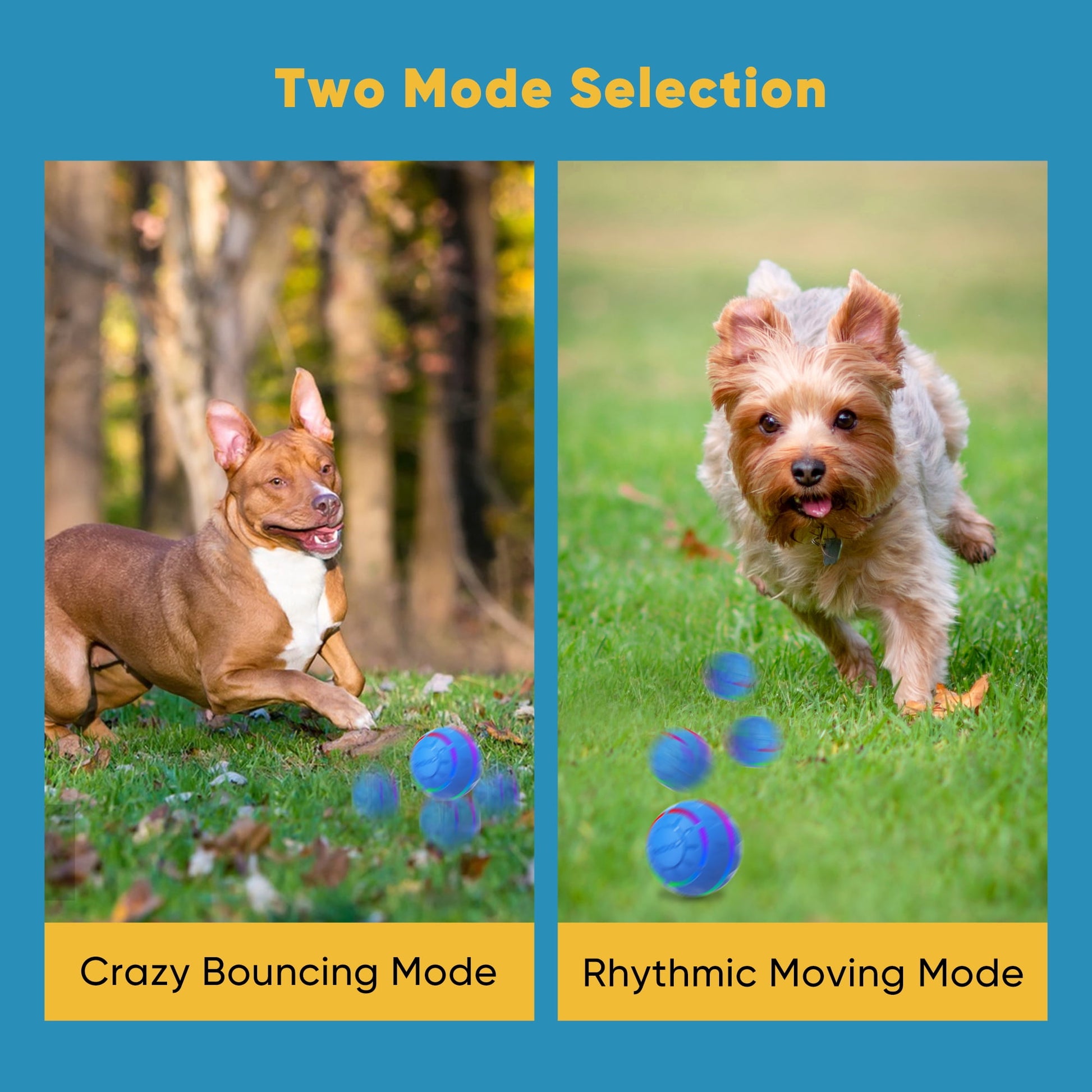 Exciting Interactive Dog Ball Toy - Rechargeable with Flashing LED Lights for Endless Fun!